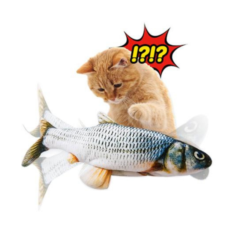 FishCat